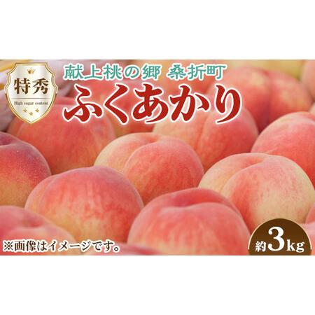 ふるさと納税 No.169 もも（ふくあかり）特秀　3kg　桑折町産　JAふくしま未来　桃 福島県桑折町