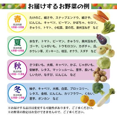 ふるさと納税 泉佐野市 旬の野菜セット 詰め合わせ 7種類以上 おまかせ 005A443