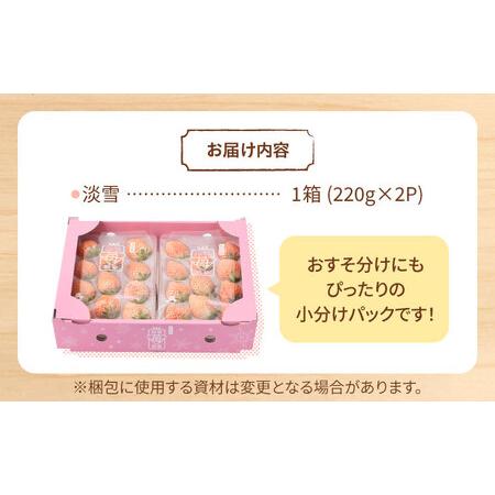 ふるさと納税 ほんのりピンク白いちご希少な「淡雪」220g×2パック [IAP005] 佐賀県白石町