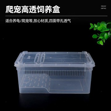 💕在臺出貨🔥爬寵飼養盒蜘蛛角蛙蝸牛倉鼠守宮爬寵箱烏龜寄居蟹飼養缸人渣盒 人渣盒 爬蟲飼養箱 飼養箱 爬蟲箱\t飼養盒