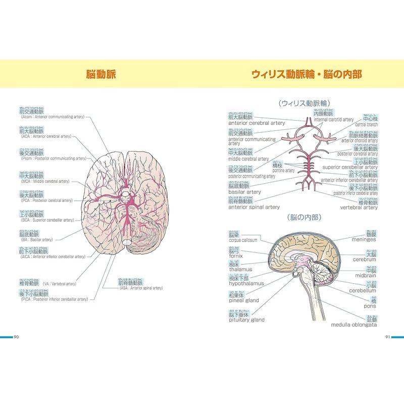 看護職従事者必携 2023年版 ユーキャンのナース実用手帳JCS・GCS瞳孔計スケール (ユーキャンの実用手帳シリーズ)