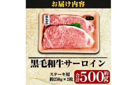 C-030 鹿児島県産黒毛和牛＜A5等級＞黒毛和牛サーロインステーキ約250ｇ×2枚