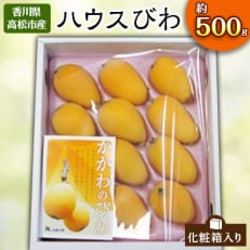 ハウスびわ化粧箱　約500g