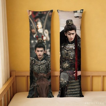 ✨免運✨ 張淩赫 明星週邊 陸劇衕款 張淩赫週邊定製50×160等身人形抱枕逐玉謝征臥室枕頭宿捨靠墊 30CS