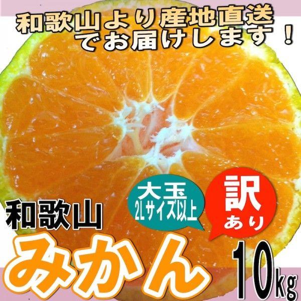 和歌山県産 訳あり みかん 大玉 (2Lサイズ以上) 10kg (傷あり サイズ不揃い 10月中旬以降より発送開始