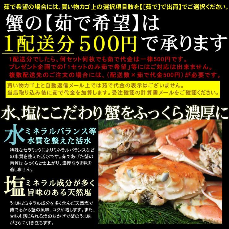 カニ かに 蟹 特産品 予約販売 発送時に活きている 活松葉がに タグ付 贈答用 超特大　1枚 1kg前後 送料無料