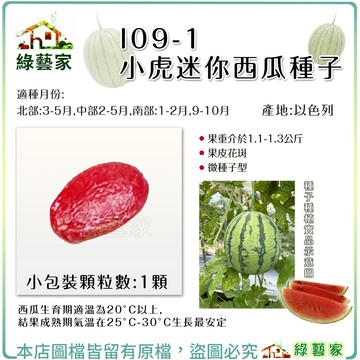 【綠藝家】I09-1.小虎迷你西瓜種子1顆 (有藥劑處理) F1 春夏初秋 果重介於1.1-1.3公斤 果皮花斑微種子型