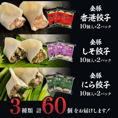 ふるさと納税 宮崎市 金豚餃子セット(香港餃子・しそ餃子・にら餃子)1パック10個入×各2パック　計60個