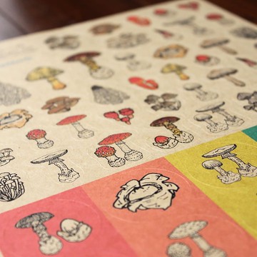 菇類圖鑑系列：食用菇與毒菇貼紙