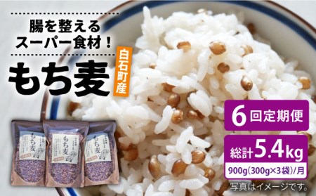 白石産 もち麦 900g（300g×3袋） 回（総計5.4kg）[IAA035]