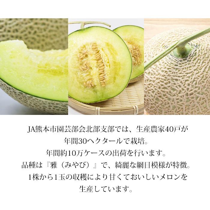 メロン 熊本県産 アールスメロン 約3.6kg以上（約1.8kg以上 1玉）2玉