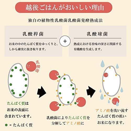 たんぱく質1 25 越後ごはん 180g×20食