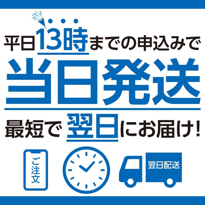 Wifi レンタル 90日 無制限 FS030 Softbank wifiレンタル レンタルwifi wifiモバイルルーター Wifi LTE モバイルルーター simフリー 安い 即日発送 送料無料