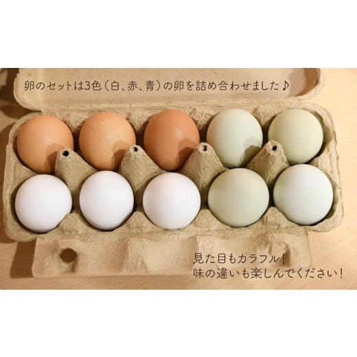 ふるさと納税 静岡県 掛川市 ５７４４　掛川で育てた 自然卵 みんなのたまご 3種 食べ比べ セット 20個 ） おやまの農園ほーんびる（ 平飼い たまご 生卵 卵…