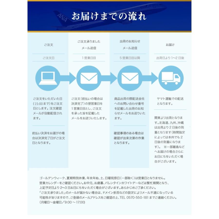 ANA カレー ANA FINDELISH ポークカレー 中辛 レトルトカレー セット 高級 レトルト カレー 食品 ご当地 詰め合わせ 飛行機