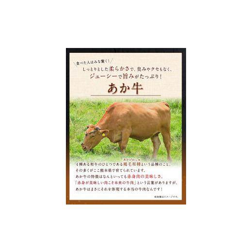 ふるさと納税 熊本県 御船町 熊本県産 あか牛 くまもと黒毛和牛 もつ鍋セット こだわり和風仕立て 肉のみやべ 《90日以内に順次出荷(土日祝除く)》 熊本県 御…