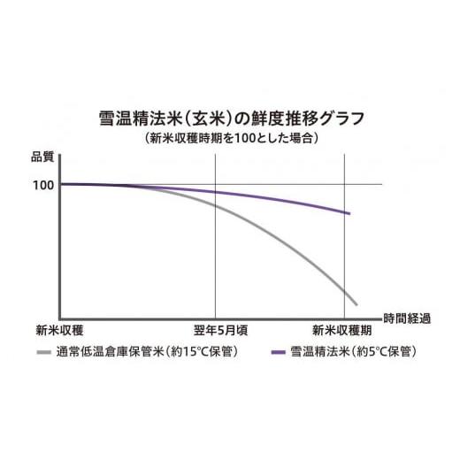 ふるさと納税 新潟県 南魚沼市 （10kg×全3回）契約栽培 雪蔵貯蔵米 南魚沼産こしひかり