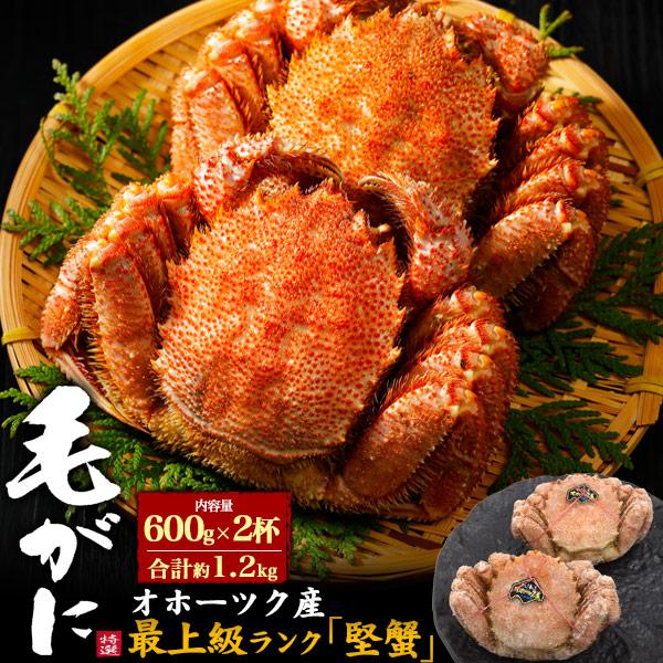 最高級 北海道産 毛ガニ 堅蟹 2杯セット 合計1.2kg (600g×2杯)  ボイル済み 北海道 オホーツク産  茹で 国産 蟹 カニ かに 短冊熨斗対応 ギフト 冷凍配送