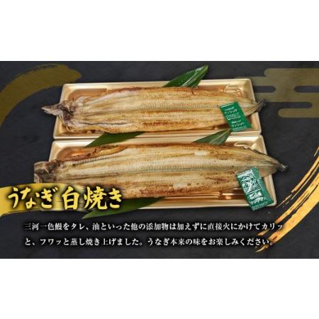 ふるさと納税 三河一色うなぎ蒲焼2尾 白焼2尾(肝焼き付き)うなぎ 蒲焼 愛知県幸田町