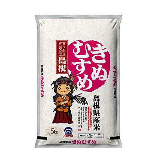  島根県産 白米 きぬむすめ 5kg 令和4年産