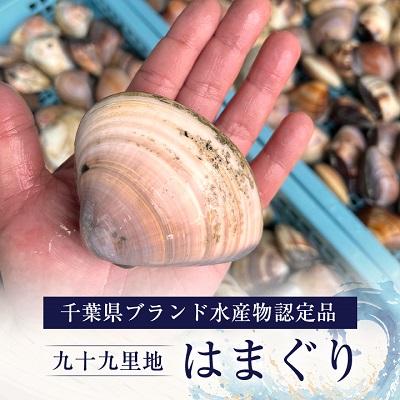 ふるさと納税 旭市 九十九里産　大粒活はまぐり　約3.1kg