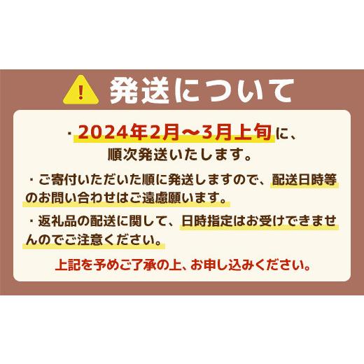 ふるさと納税 福岡県 篠栗町 MZ041 福岡県産 あまおうG以上 1250g（5パック） 先行予約 ※2024年2月〜3月末にかけて順次発送予定