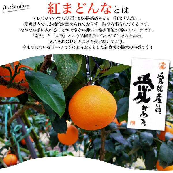 紅まどんな 3kg 贈答用 青秀 L〜2Lサイズ 約3kg(約12玉〜15玉) ギフト 熨斗対応 化粧箱 みかん ミカン 蜜柑 べにまどんな 紅マドンナ