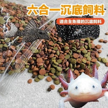 宏洋水族【全方位✅六合一沉底飼料】中大型、底棲魚の唯一選擇〞沈底飼料 底棲飼料 魚飼料 異形 鼠科魚 魟魚 六角恐龍魚