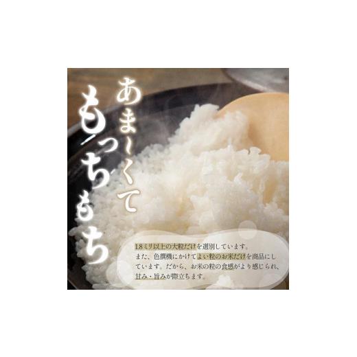 ふるさと納税 秋田県 秋田市 令和5年産 あきたこまちプレミアム　減農薬特別栽培米（5kg入り×2袋）