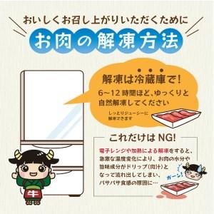 ふるさと納税 黒毛和牛ヒレサイコロステーキ 600g 熊本県和水町