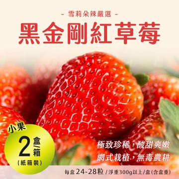 【雪莉朵辣嚴選】黑金剛紅草莓 (小果/24-28粒/淨重300g/盒)x2盒