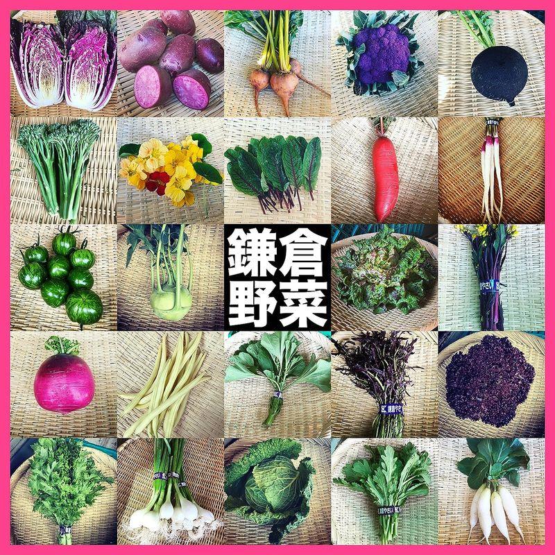 鎌倉野菜 季節の詰め合わせ12品目