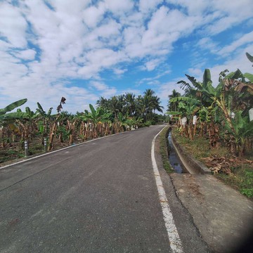 杉林區花海景點漂亮農地｜高雄市杉林區月眉段二小段
