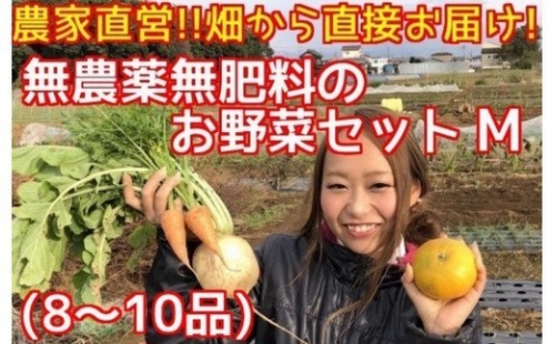 BR001 松戸市の４人家族から旬の自然栽培野菜セットM