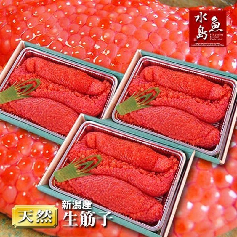 魚水島 北海道?青森産 生筋子（生いくら）季節限定「ずっしり大粒 生すじこ」 3kg