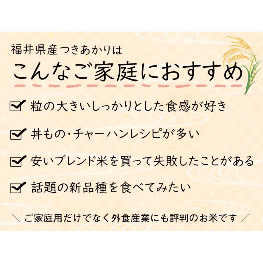 新米 5kg つきあかり 福井県産 白米 令和5年産 送料無料