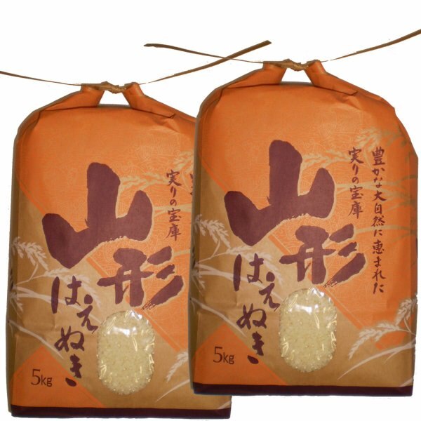 白米 10kg (5kg2) 山形県産 はえぬき 米 お米 精米済 令和5年（送料無料）