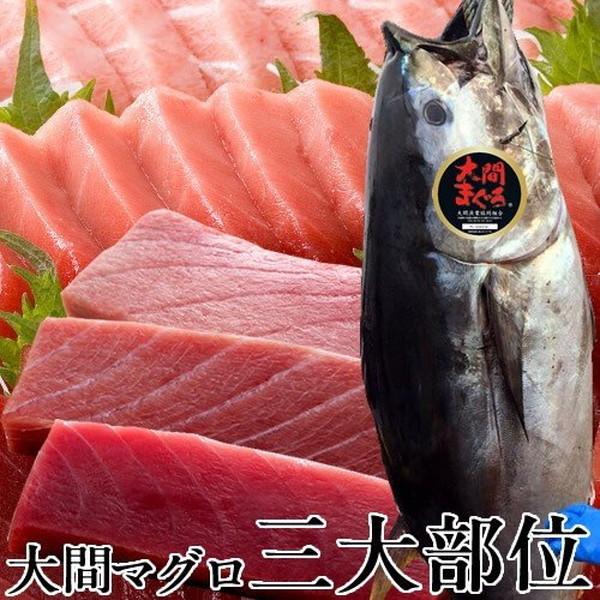 まぐろ大間産 本マグロ 三大部位セット 赤身・中トロ・大トロ 各200g 大間のまぐろ 生まぐろ トロ 刺身用 大間港直送［お歳暮 ギフト プレゼント］