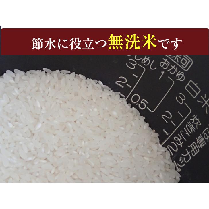 無洗米 真空 3kg 一等米 九州産   化粧箱入