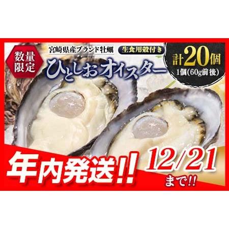 ふるさと納税 年内発送≪数量限定≫宮崎県産ブランド牡蠣『ひとしおオイスター』計20個　魚介　貝　かき　生食用　殻付き　国産 CB81-23 宮崎県日南市