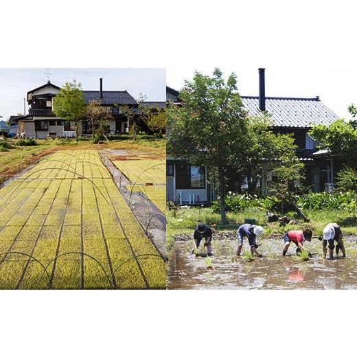 ふるさと納税 新潟県 胎内市 49-04自然なお米（玄米）60kg