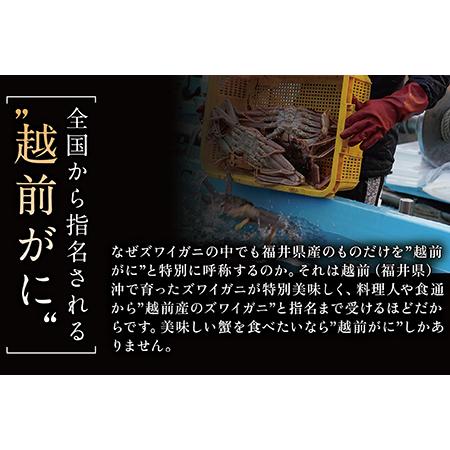 ふるさと納税 越前がに（オス）「ずわいがに」（400g〜600g） 訳あり 2杯 福井県越前市