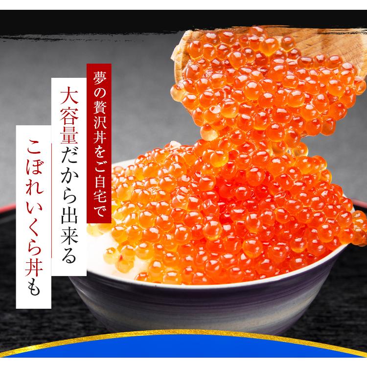 いくら 秋鮭 500g 醤油漬け 送料無料 北海道産 国産 イクラ 魚卵 海鮮 魚介 お取り寄せグルメ 高級 鮭 旨さに わけあり ギフト 年末 [冷凍]