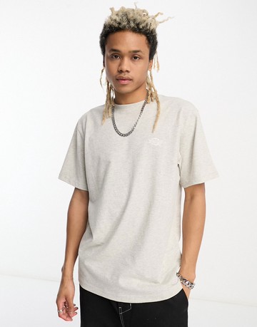 Dickies summerdale premium oversized t-shirt in grey