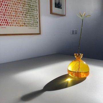 ILEX STUDIO | 酪梨玻璃花器 復古黃