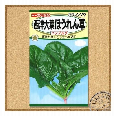 トーホク 西洋大葉ほうれん草 ハンブルグ 種 家庭菜園 プランター栽培 種子 ホウレンソウのタネ 野菜 メール便対応 通販 Lineポイント最大0 5 Get Lineショッピング