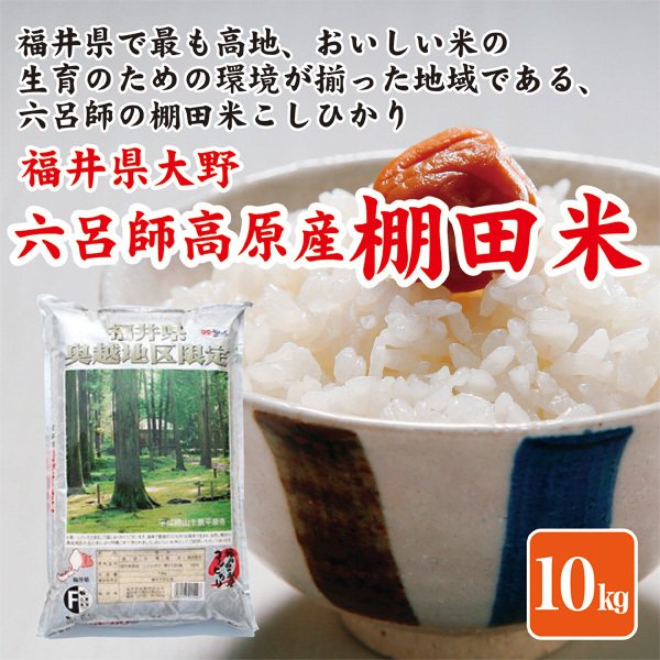 お米 米10kg 福井県奥越産 コシヒカリ こしひかり 福井県米穀