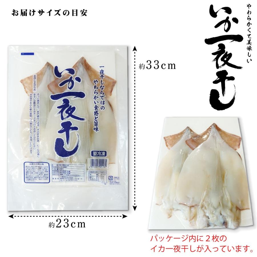 干物 いか一夜干し 2枚入り 塩焼き、炒め物、バター焼き プリプリとやわらかイカの開き お酒の肴としても