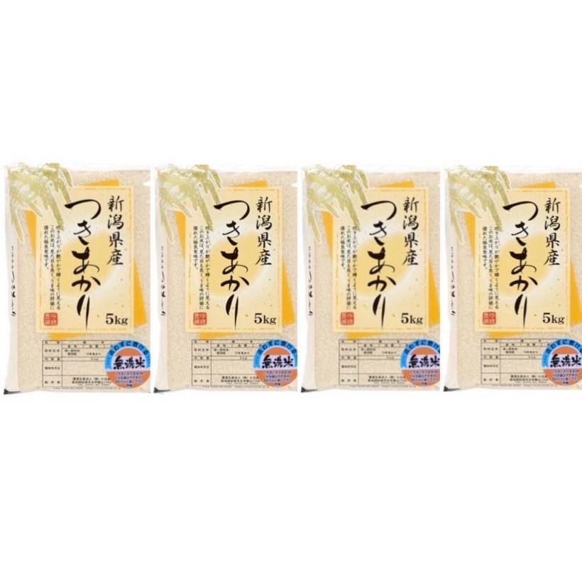 新潟県産　新米 つきあかり 無洗米 20kg 令和５年産 米20kg プレゼント入り お米 20kg 高級米 おいしいお米 美味しいお米 産地直送 農家の米 コシヒカリの郷小出農場