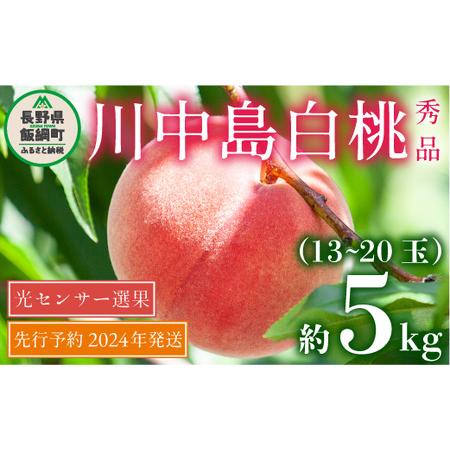 ふるさと納税 桃 5kg 先行予約 2024年 川中島白桃 秀品 光センサー 【 予約 白桃 果物 くだもの フルーツ もも 長野 信州 26000円 26000 令和6年.. 長野県飯綱町